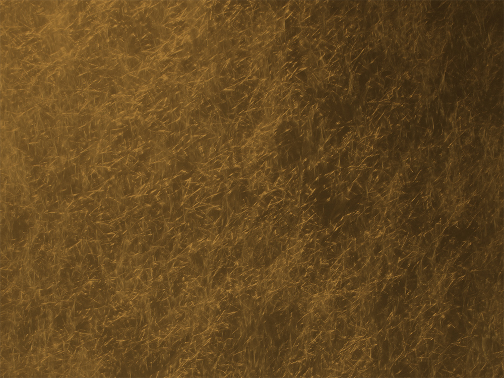 P8+7553