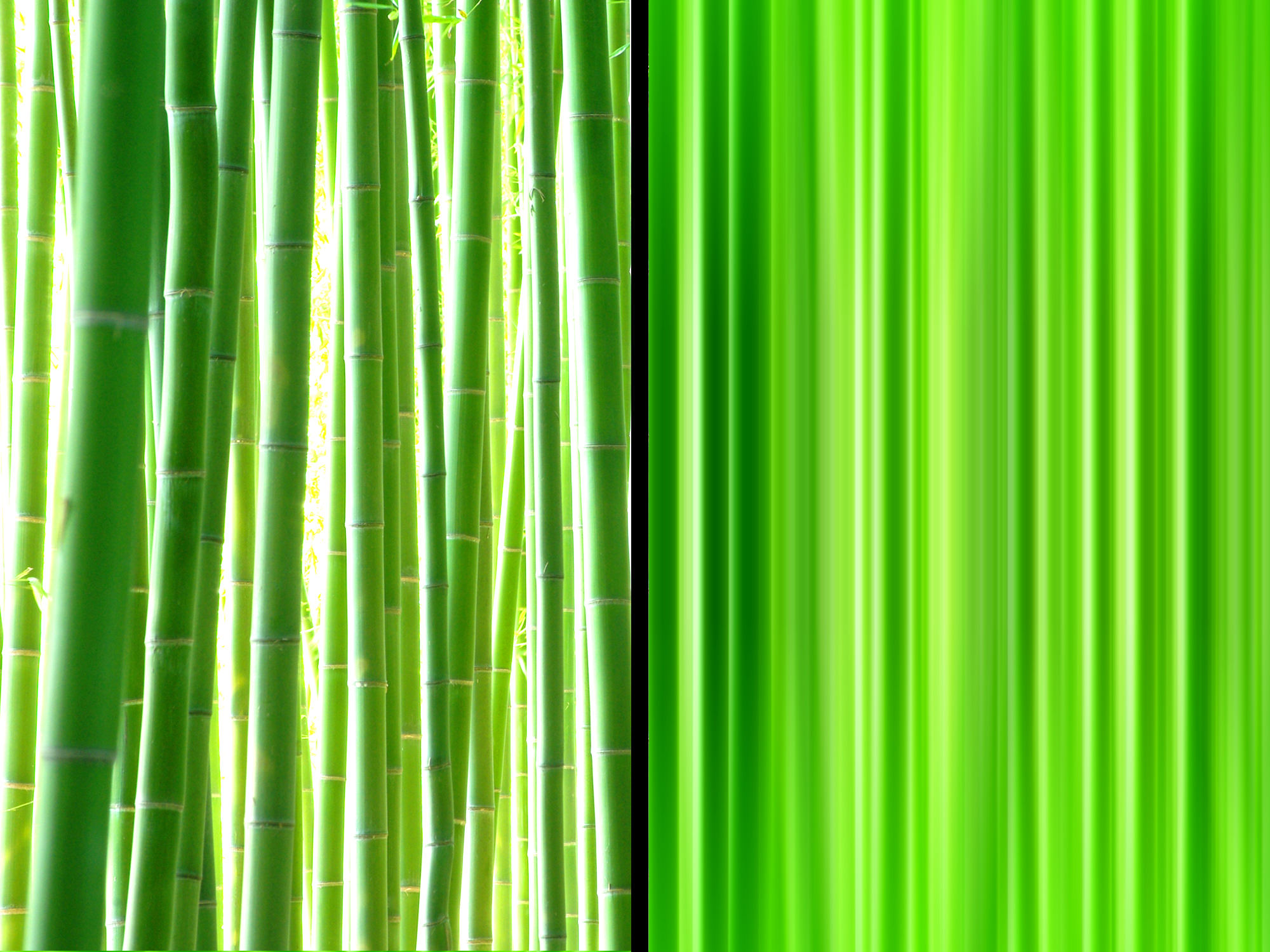 プロトタイプ トライ